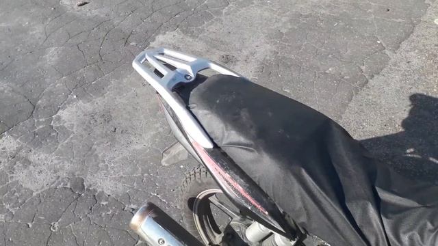 Wels gold 200 (22 апреля 2022 г.)