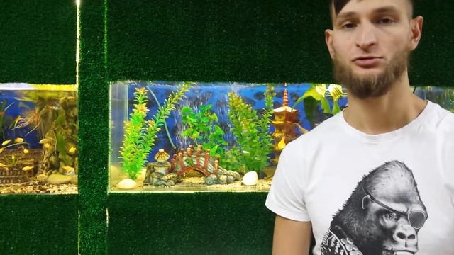 У нас обычай: гостей уважать надо! смотреть онлайн