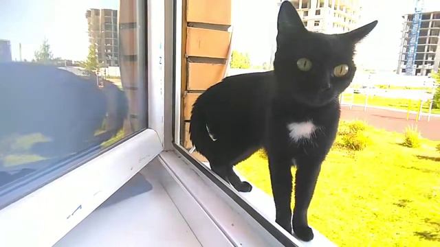 💙Хочу снять видео Room Tour?💙Kama Way 🦄 смотреть онлайн