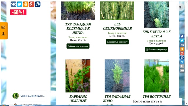 Как заказать сеянцы хвойных почтой на сайте zelenka-com.ru смотреть онлайн