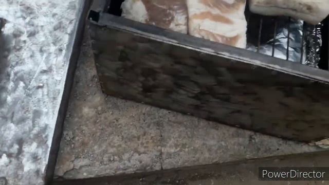 Сало горячего копчения..# простой рецепт# ничего лишнего# смотреть онлайн