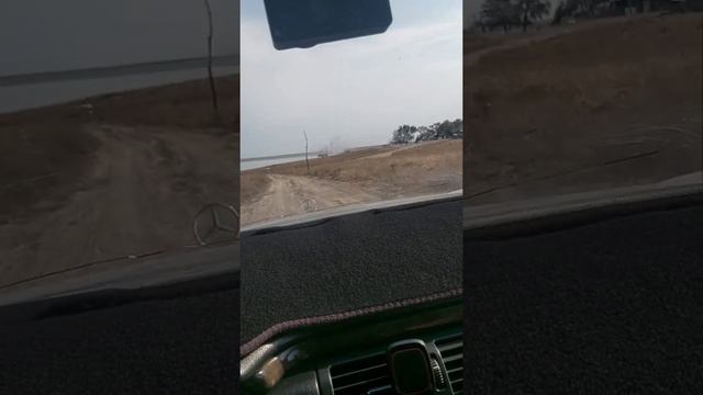 Едем на рыбалку с семьёй) смотреть онлайн