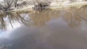 ЩУКА. РЫБАЛКА. Река Веля МОСКОВСКАЯ ОБЛАСТЬ