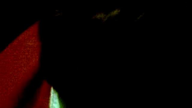 КАКОЙ ТАМ ТЕКСТ