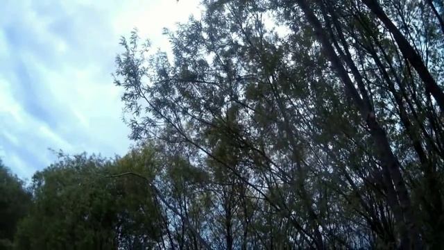 Болен Рыбалкой №216 - Уловистый фидер смотреть онлайн