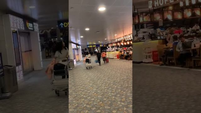 Departure Boarding Shanghai Pudong International Airport | video taken by iPhone XS Max - Apple (4K смотреть онлайн
