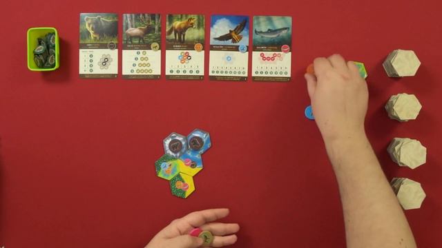 🟢 Cascadia 🔵 Juegazo a 2 | APRENDE a Jugar смотреть онлайн