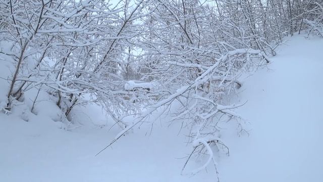 Прогулка на лыжах в Рудничном районе г. Кемерово 09.01.2022 смотреть онлайн