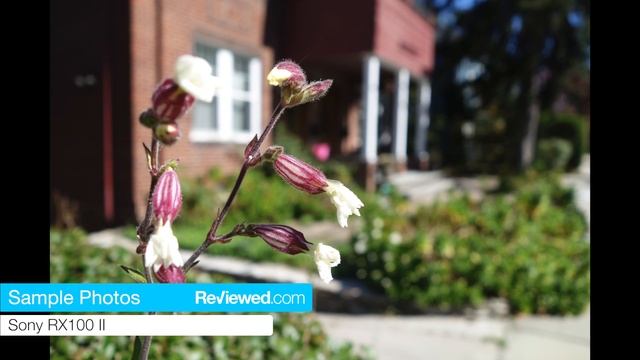 Sony RX100 II: The Best Point-and-Shoot You Can Buy смотреть онлайн