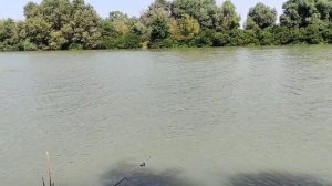 Рыбалка в Краснодарском крае.река Кубань.Темрюк.