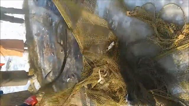 Ловим рыбу неводом! смотреть онлайн