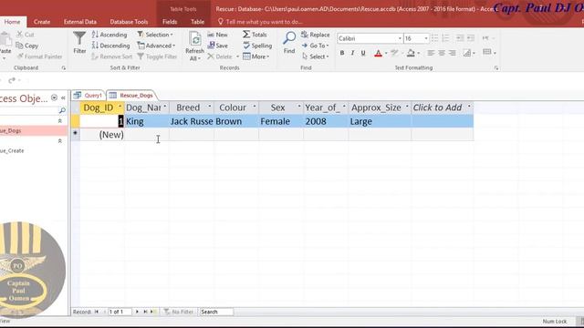 Using SQL Create, Insert and Select Command in Microsoft Access смотреть онлайн