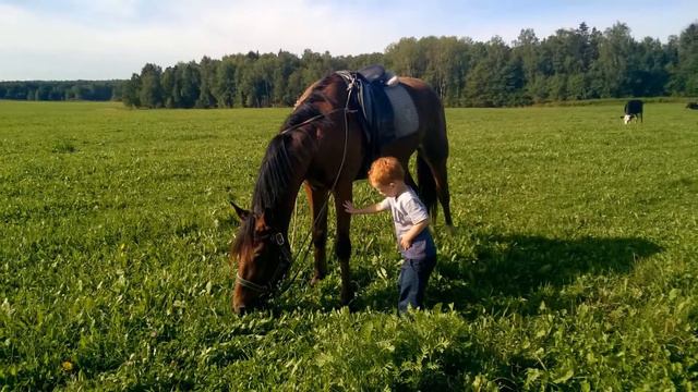 Парамоново фото - 2016 смотреть онлайн