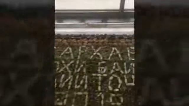 Посмотрите срочно это будем готовить через заказ на Таджикистан Номер Вотсап +992 900 06 90 94 имо смотреть онлайн