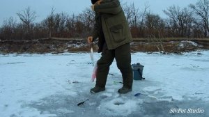 Зимняя рыбалка  . Река Дон  .  19 декабря 2020 .