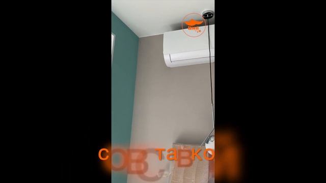 Классический натяжной потолок со вставкой смотреть онлайн