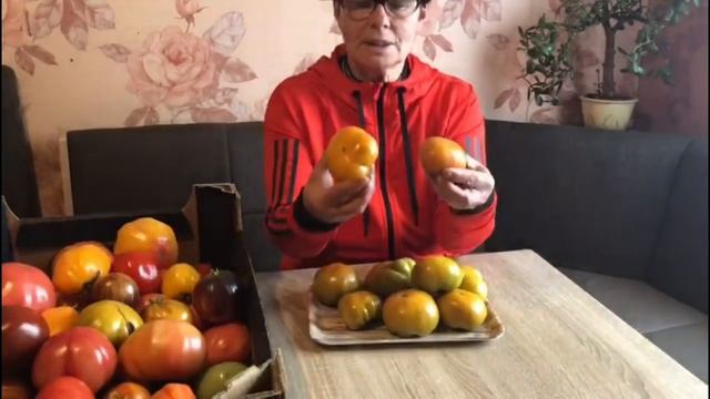 Вся правда о томате Uluru Ochre смотреть онлайн