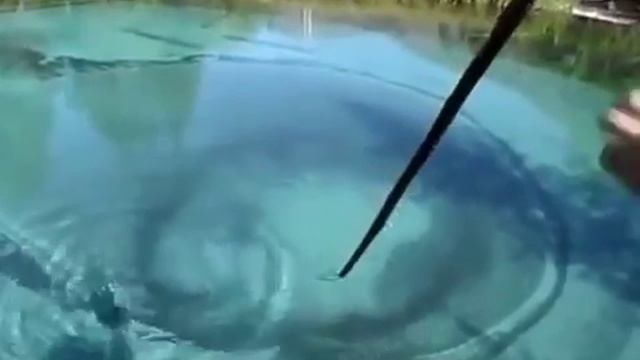 Гейзерово озеро Алтай смотреть онлайн