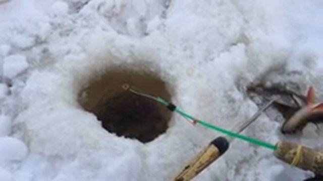 МАЛЕНЬКОЕ ОЗЕРКО ПОРАДОВАЛО!!! ПРОШЕЛСЯ ПО ДВУМ ОЗЁРАМ. СНЕГА НАПАДАЛО ПО ПОЯС.