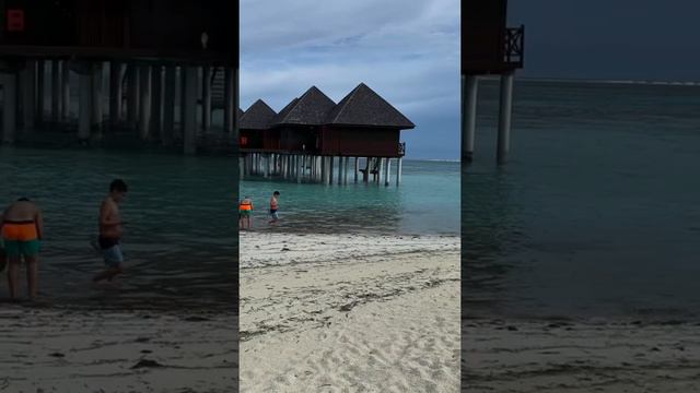 Maldives Sun Siyam Olhuveli смотреть онлайн