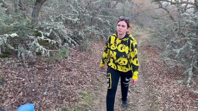 НАШЛИ БОЛЬШОЙ БАССЕЙН В ЛЕСУ | гора Ай-Георгий в Судаке. идем на родник со святой водой смотреть онлайн