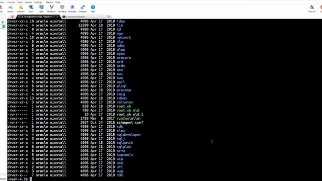 Oracle 19c on Docker смотреть онлайн