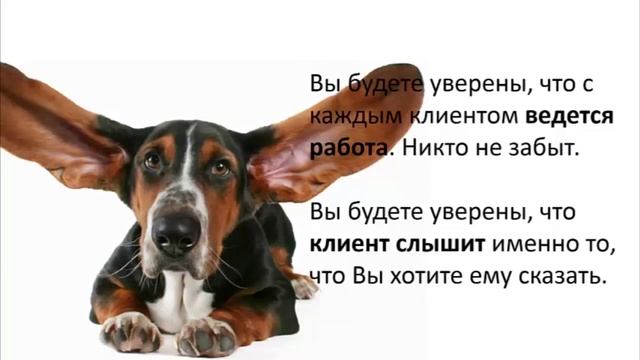 Video E-mail Marketing смотреть онлайн