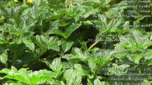 Viet Deli Coffee - Arabica Robusta Ground Coffee 8 смотреть онлайн