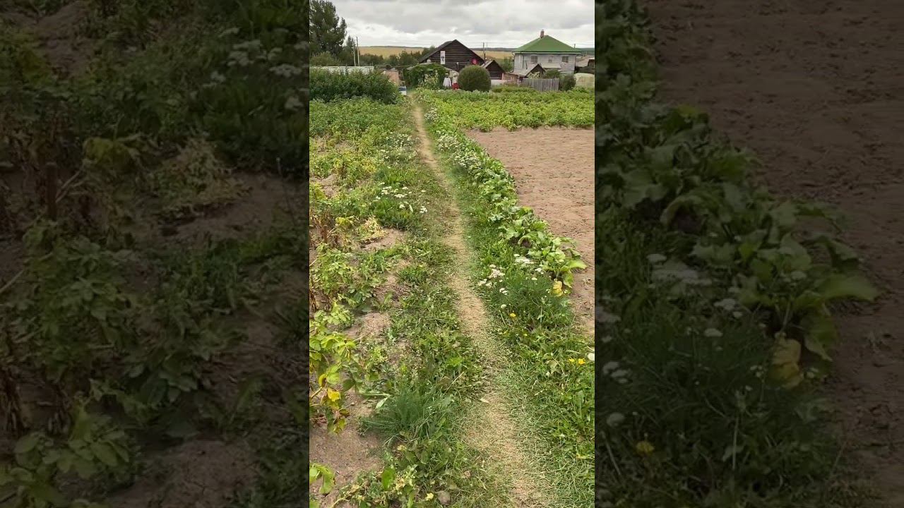 1 ложка и земля как новая, здоровая и плодородная смотреть онлайн