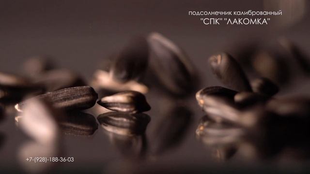 Подсолнечник кондитерских сортов смотреть онлайн