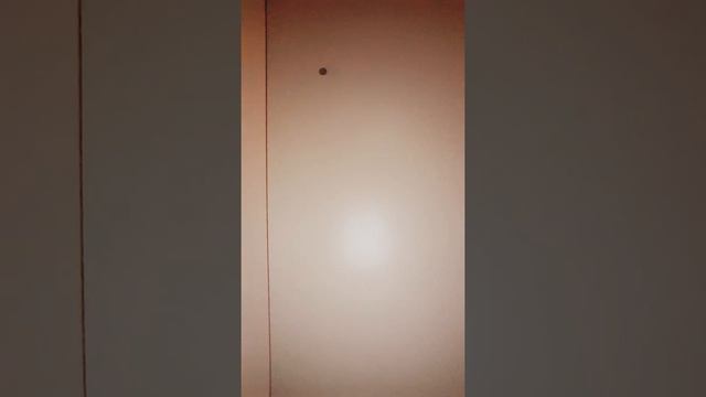 Why I hate my life смотреть онлайн