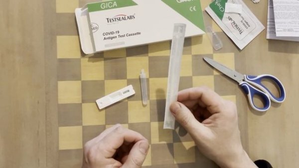 Экспресс тест на коронавирус инструкция Testsealabs GICA CHECK Covid-19 Antigen test Cassette