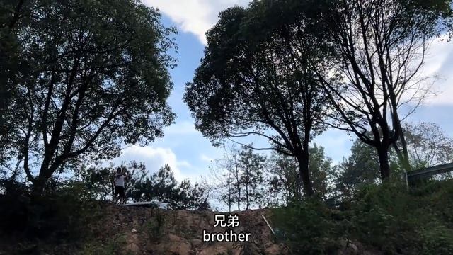 前杠撞到山上！哈弗大狗越野評測！ #越野#哈弗#哈弗大狗 смотреть онлайн