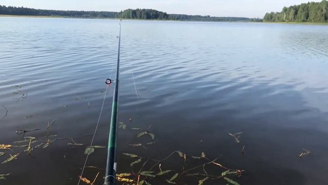 Как я ловил карпа. Озеро Шерегодра 2020 смотреть онлайн