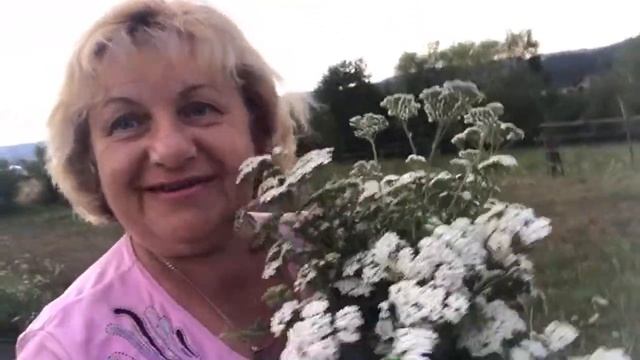 Что нельзя делать вечером ! смотреть онлайн