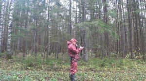 РУССКАЯ ГОНЧАЯ,послушание и ОХОТНИЧИЙ ГОРН.