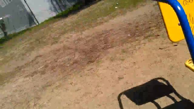 Кот на дерево залез смотреть онлайн