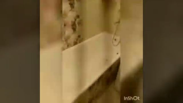 Обзор квартиры и на ул. Байкальская, д.54, г.Минск смотреть онлайн