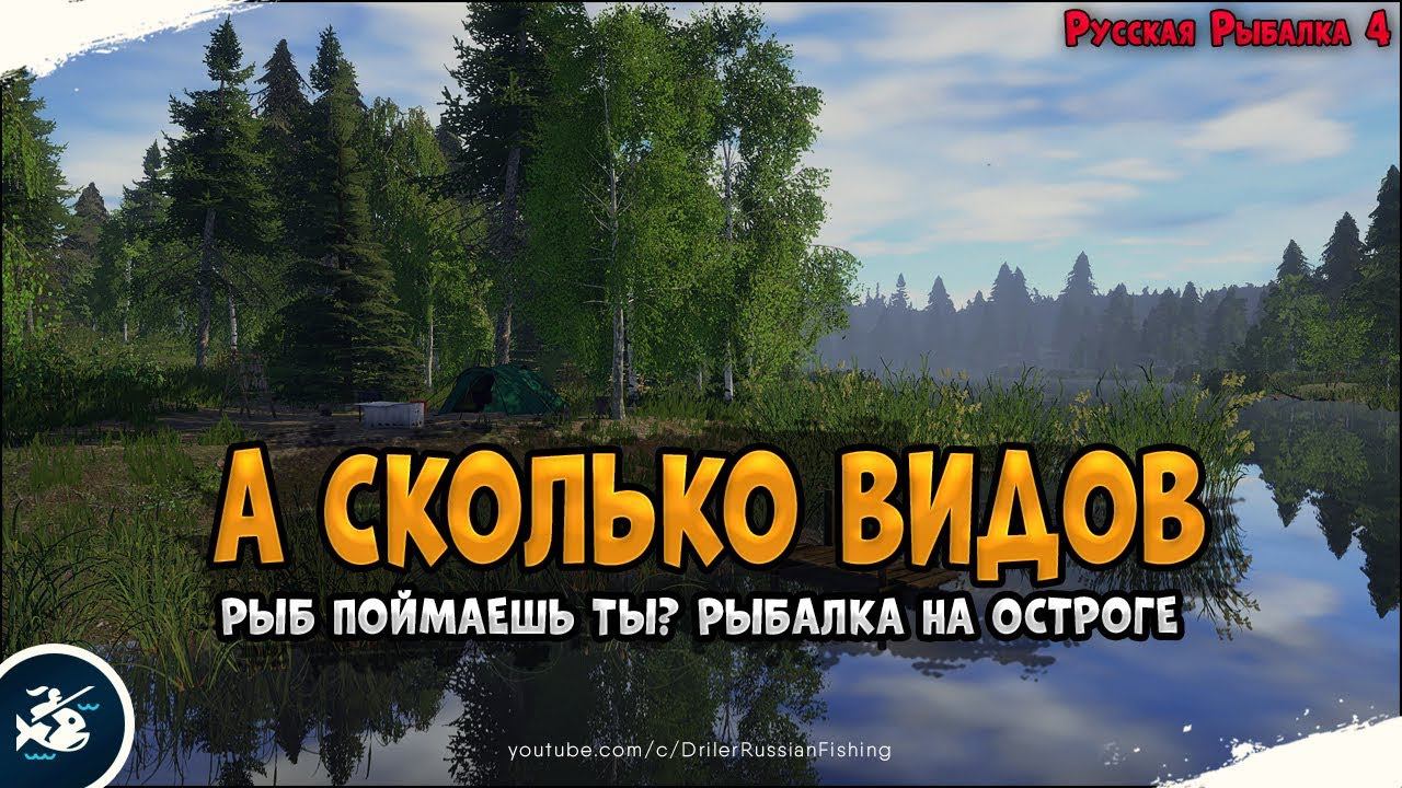 А сколько видов рыб на Остроге? • Driler - Русская Рыбалка 4