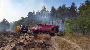 ЛЕСНОЙ ПОЖАР