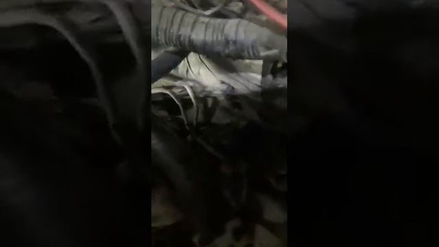 Замена лямбда-зонда на Suzuki Vitara смотреть онлайн