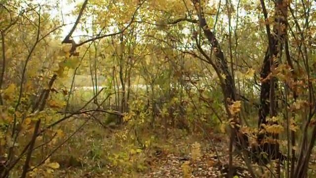 "Грачи". Мои стихи. смотреть онлайн