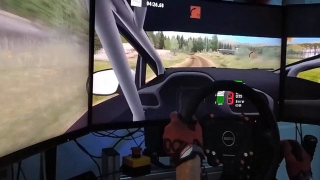 Sherwood Forest I Summer - Ford Fiesta Mk VIII R2 смотреть онлайн