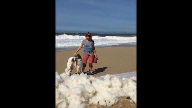 Дара смотреть онлайн