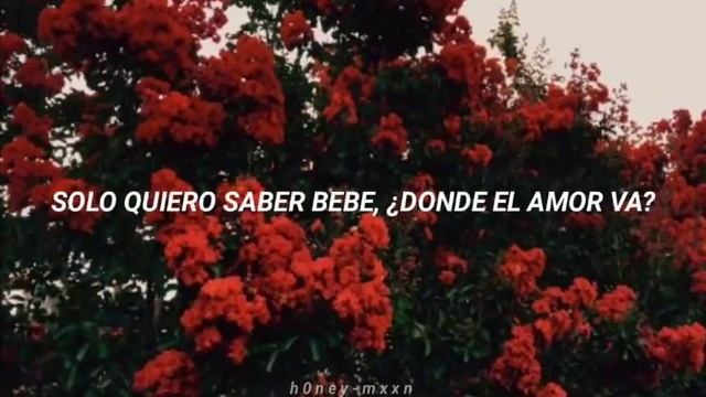 Payton Moormeier - Love Letter {Traducido al español} смотреть онлайн