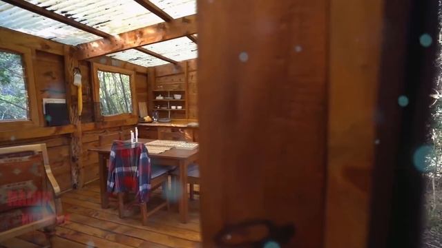 Рысь каждую ночь шипела на малыша. Когда родители поняли почему, потеряли дар речи смотреть онлайн