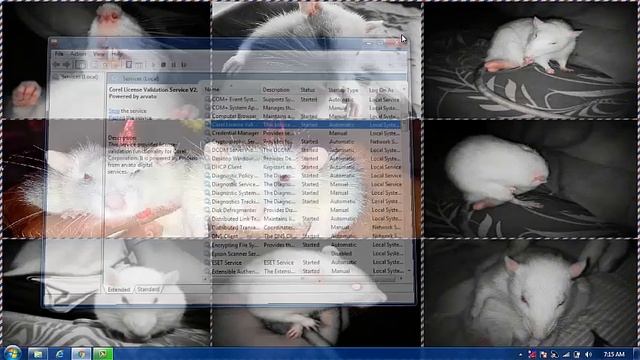 Corel Draw x7 ERROR 38 - SOLUTION - FIX [FOR ALL WINDOWS 7,8,8.1,10] смотреть онлайн