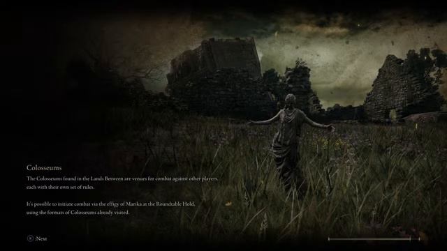 Heroic Challenge-Elden Ring-Patches, Grave Warden Duelist of Murkwater Catacombs смотреть онлайн