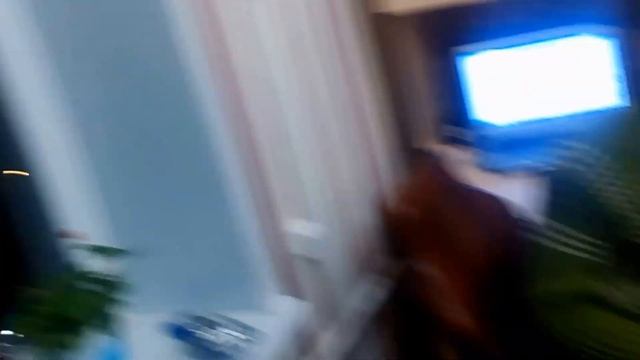 Самый неудачный обзор Колы) смотреть онлайн