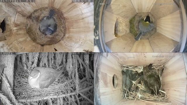 Онлайн-трансляция  - 2020. Часть-2.   11.05.2020 г.. Город Калуга.